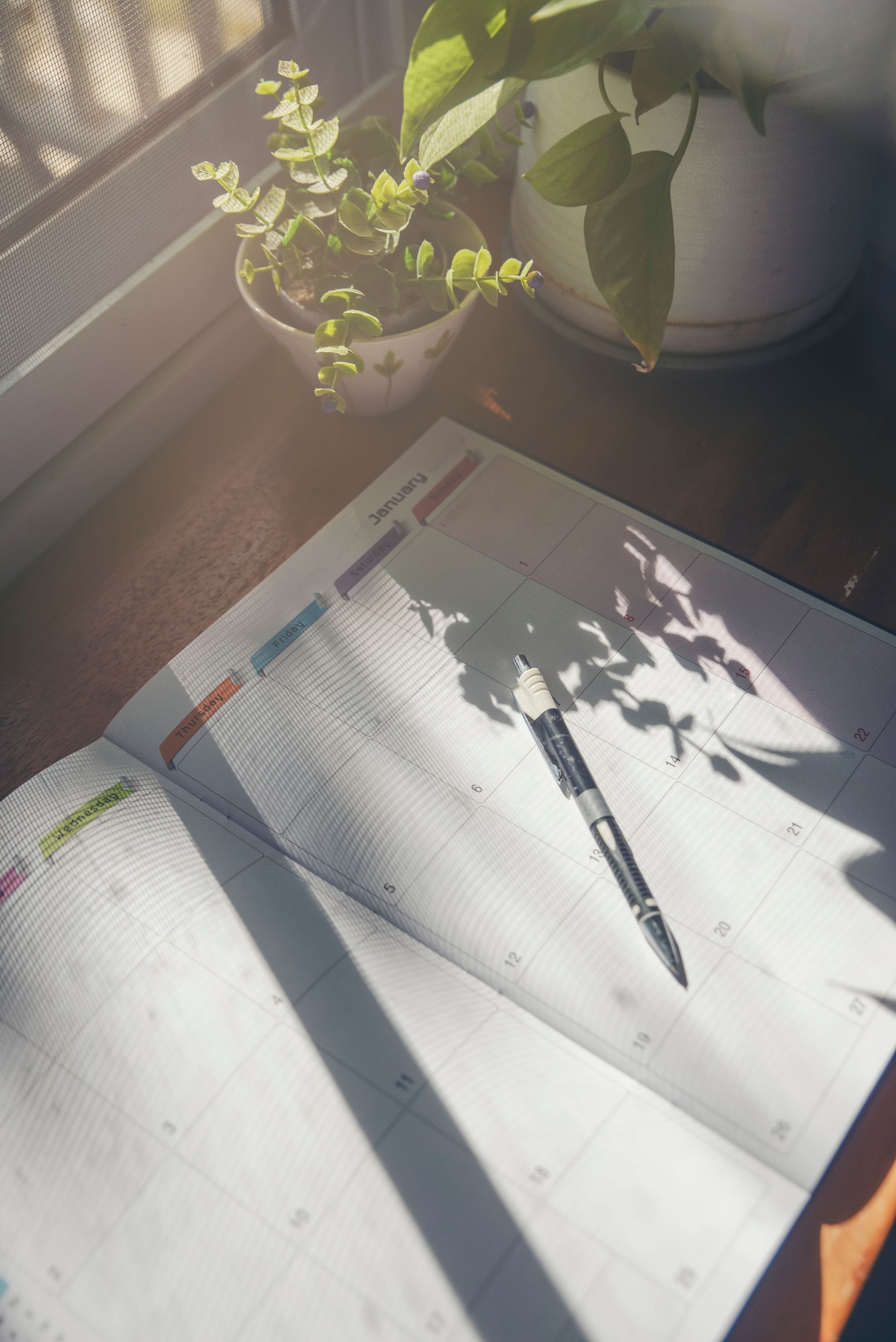 Agenda, planner book, 2025 calendar, pencil, and cactus place on business office desk. Diary for organizer to plan timetable, daily appointment, and management job at room. Planner book concept.